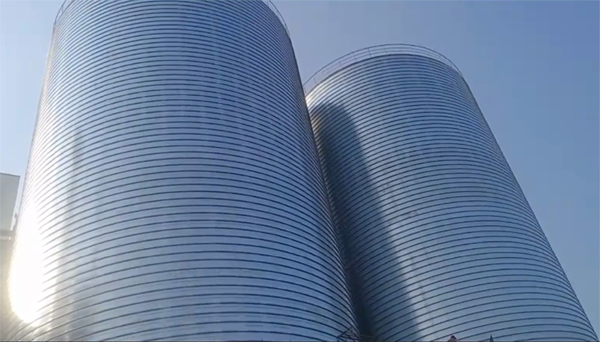 竹山2座混凝土高架卷板仓